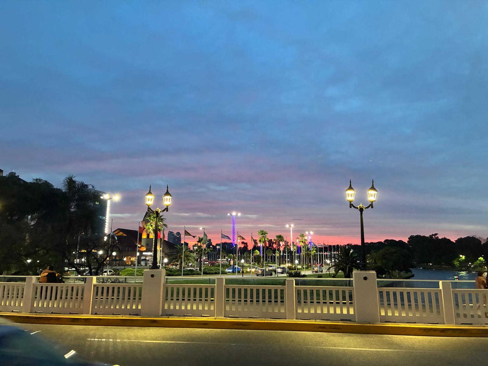 Tigre bridge over the delta